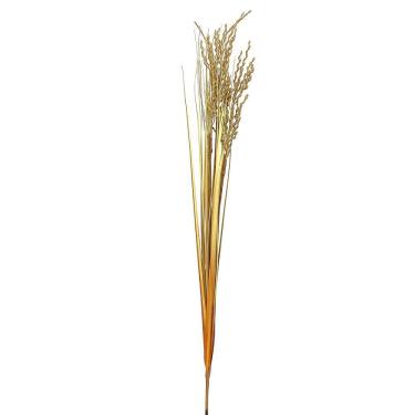 Imagem de Haste Grão de Arroz Natural Decorativo