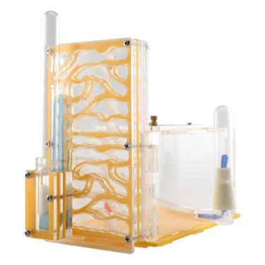 Imagem de ＡＷＨＡＯ de Habitação Fazenda de Formigas com Alimentador Suprimentos DIY Habitat Educacional Caixa de Reprodução para Presente de Aniversário Casa, Amarelo