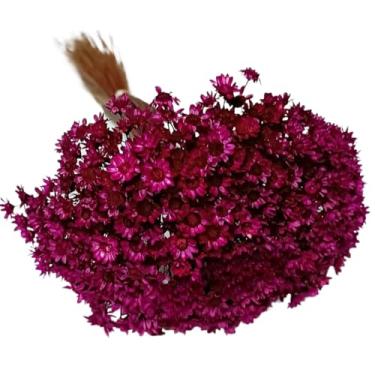 Imagem de Buquê de 300 Florzinhas, Sempre Viva e Mosquitinhos, Decorativo para Casa e Festas(VINHO)