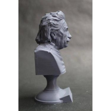 Imagem de Escultura Estatua Busto Albert Einstein