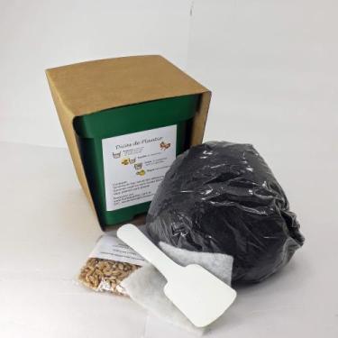 Imagem de kit plantio clorofila sementes de trigo 5 UNIDADES - Horta e Jardim