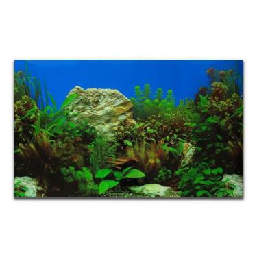 Imagem de Painel Para Aquários Fundo Azul, Rochas E Plantas Pp-082 - Chang, Azul