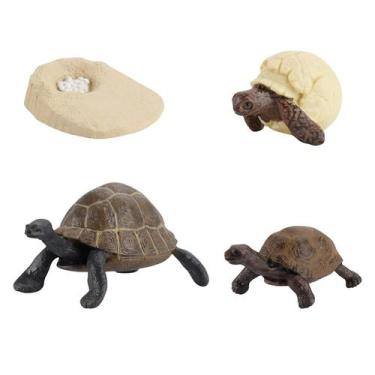 Imagem de Figura do inseto de 4 partes ninhada plástica do ciclo de vida animal 