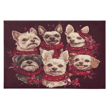 Imagem de CEBUGI Tapete de área 60 x 90 cm macio lavável tapete antiderrapante com suporte de borracha tapetes de área de cães para sala de estar, quarto, decoração de casa