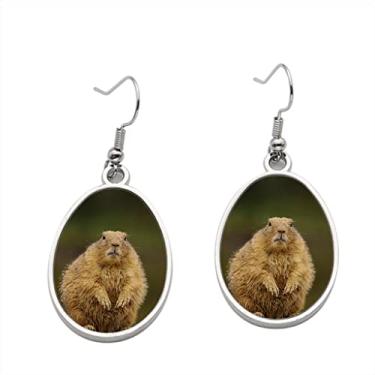 Imagem de Brinco de cachorro Prairie – Brincos com pingente para meninas – Presente de festa de aniversário dos namorados