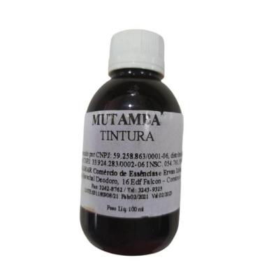 Imagem de Tintura De Mutamba (Guazuma ulmifolia) 100ml - Palmar