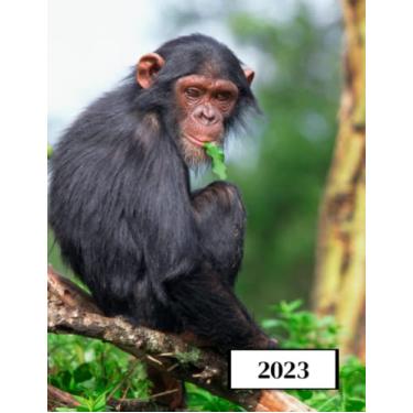 Imagem de 2023: Agenda semainier au format A4 - Année civile (Janvier à Décembre 2023) - Intervalles d'1h (7h-22h) - Contacts, jours fériés, mots de passe, ... - Une semaine sur deux pages