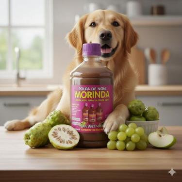 Imagem de Cinomose em Cachorro Tratamento com a Polpa da Fruta Noni Orgânico e N