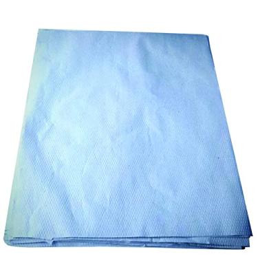 Imagem de Papel Jornal Tapete Pet Biodegradável Limpo Absorvente 60x45 cm 200 unid