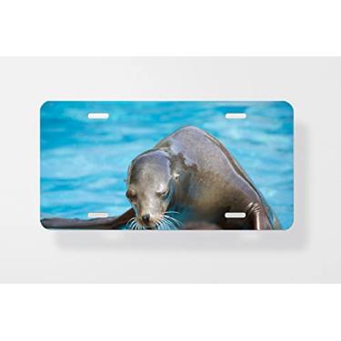 Imagem de Capa para placa de carro com selo de cachorro marinho brincando com crianças – Capa para placa de carro – Capa para placa de carro 15 x 30 cm