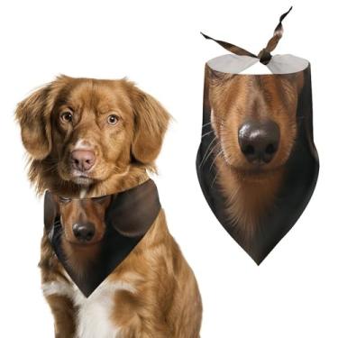 Imagem de Cachecol de poliéster triângulo impresso livro Dachshund – Tamanho único (70 x 30 cm)