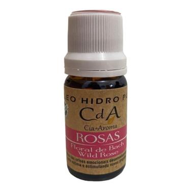 Imagem de Óleo Hidrossolúvel Para Umidificadores 10Ml-Escolha O Aroma