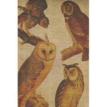 Imagem de Password Log Book: Vintage owl illustrations password keeper notebook. Owl drawings cover design. for owl and bird lovers spotters.