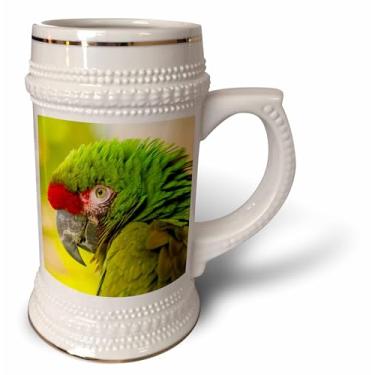 Imagem de 3dRose EUA, Califórnia, Perfil da arara no zoológico de Santa Barbara. Caneca de Stein, 510 g (STN_208240_1), 623 g, branca