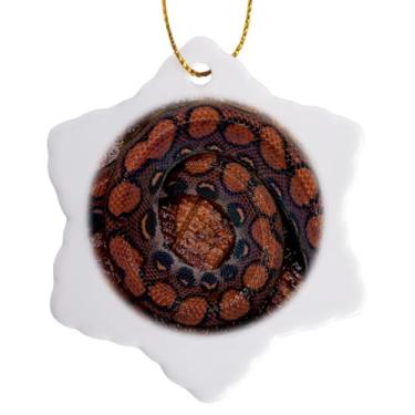 Imagem de 3dRose Rainbow Boa, Epicrates Cenchria, Amazon, Equador Enfeite de Floco de Neve Juvenil, 7,6 cm