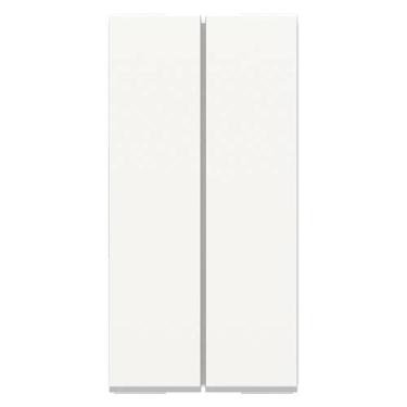 Imagem de Modulo Duplo Interruptor Simples 10A 250V Orion Schneider