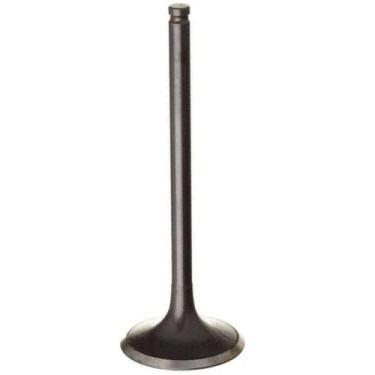 Imagem de Valvula do Motor POP 110I - Admissão - Loja Duas Rodas