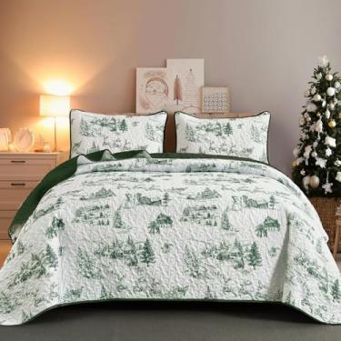 Imagem de Yiran Conjunto de colcha de Natal verde, tamanho queen, 3 peças, conjunto de colchas, conjunto de colcha de microfibra leve com estampa de vaso sanitário para todas as estações (264 cm x 224 cm)