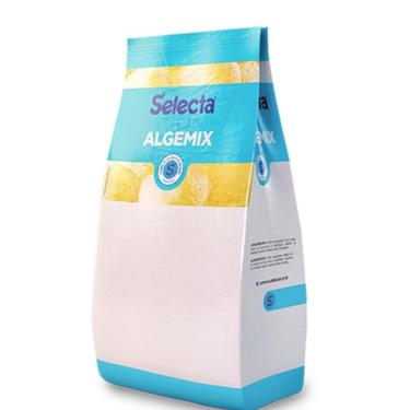 Imagem de Base Saborizante Para Sorvete Algemix Selecta 1 Kg Menta