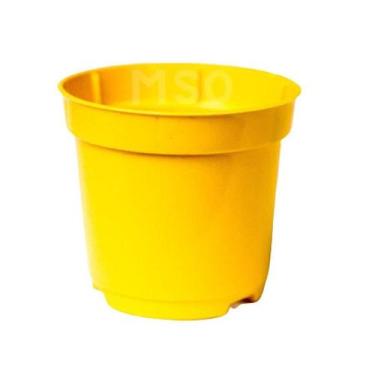 Imagem de Vasinhos Pequenos Coloridos Pote 6 De 80ml Mudas - 80 unidades - MSpai