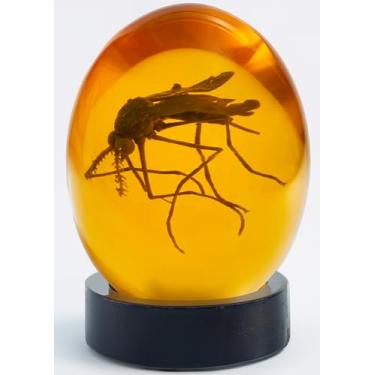 Imagem de VEOJEIN Mosquito Jurassic 3D em âmbar com base de madeira | Design original 3D verdadeiro realista em formato de fundo plano | Réplica de DNA de dinossauro mundo pré-histórico | Suporte colecionável |
