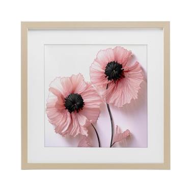 Imagem de Stupell Industries Impressão emoldurada adequadamente papoulas rosa bétula sob vidro, design por Sasha, 13 x 13