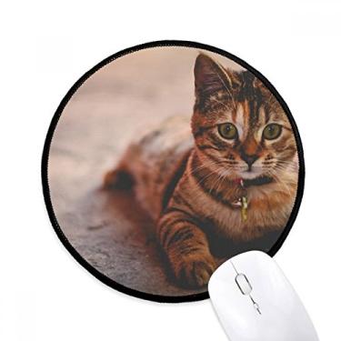 Imagem de Tapete de mouse para fotografia de gato silencioso animal desktop escritório tapete redondo para computador