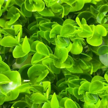 Imagem de Placa De Eucalipto 40 x 60cm Muro Inglês Jardim Vertical