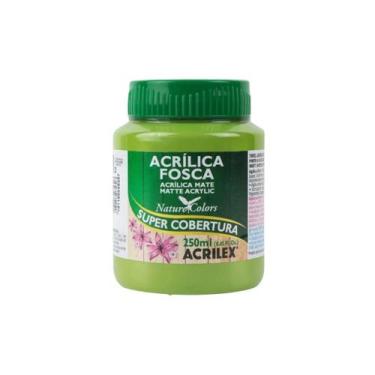 Imagem de Tinta Acrílica Acrilex Fosca 250ml Escolha a Cor, 570 - VERDE PISTACHE