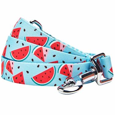 Imagem de Blueberry Pet Coleira Summer Sparkle para cães, tamanho médio, 1,5 m x 1,9 cm, azul, zesty Fruit Watermelon Print Pet Leash
