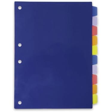 Imagem de Divisórias Plásticas 10 Matérias Colegial (PEQUENO) - 22cm x 16cm