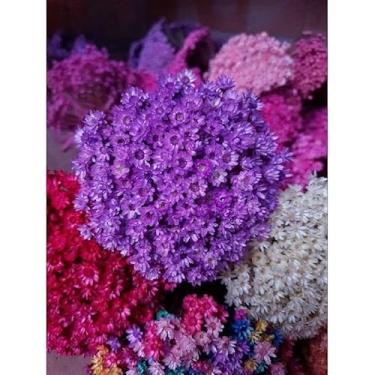Imagem de Flor Sempre-Viva Natural Desidratada Kit 300 600 1200 Flores – Decoração Festa Casamento e Arranjos Artesanais (Roxo,300 flores (2 buquês))