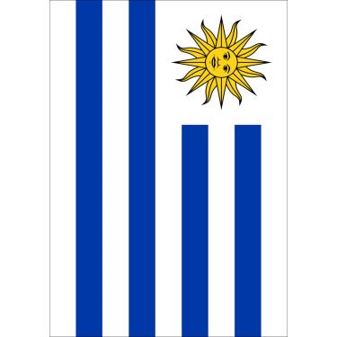 Imagem de Toland Home Garden 1010755 Bandeira do Uruguai 28 x 40 polegadas Decorativa, Casa (71 x 101 cm)