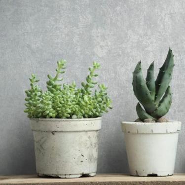 Imagem de Papel De Parede Jackie Textura Cinza 6826-30