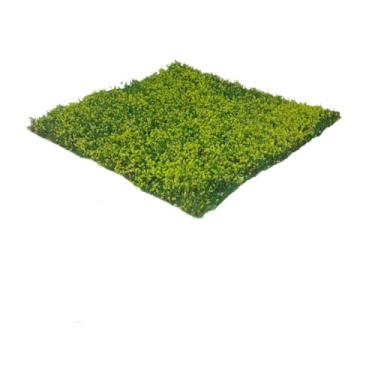 Imagem de Yunhgft Flores em Miniatura, Kit de Modelo de Terreno, de Grama Artificial para Cenários de Trens E Ferrovias em Miniatura, C, Tamanho real