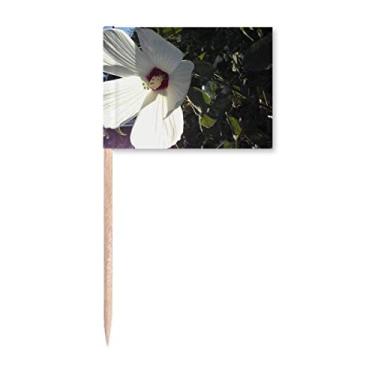 Imagem de White Daizy Photography Culture Toothpick Flags Marker Topper Decoração de Festa