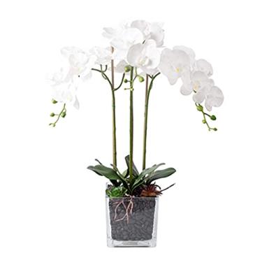 Imagem de LMJYU Flores artificiais Phalaenopsis Orquídea floral arranjo em vaso, orquídeas falsas de seda flores artificiais