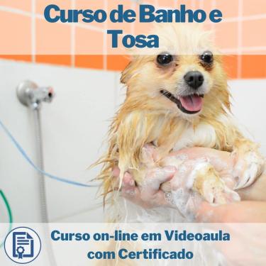 Imagem de Curso on-line em videoaula de Banho e Tosa com Certificado