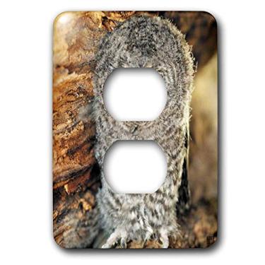 Imagem de 3dRose LLC lsp_9903_6 Coruja Tawny, Strix aluco Um mês jovem Aragão Espanha 2 Tomadas Capa