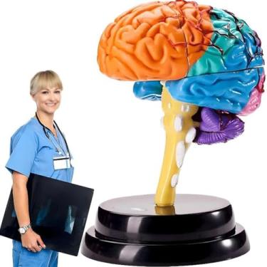 Imagem de Modelo de cérebro 4D modelo anatômico desmontado modelo de cérebro humano ciência sala de aula exibição de estudo modelo médico ferramenta de ensino
