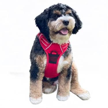 Imagem de Doggie Design Venture Paw Peitoral para cães - Peitoral simples ajustável para filhotes - Coleira antipuxão para cães para caminhadas e aventuras ao ar livre - Carmesim, M