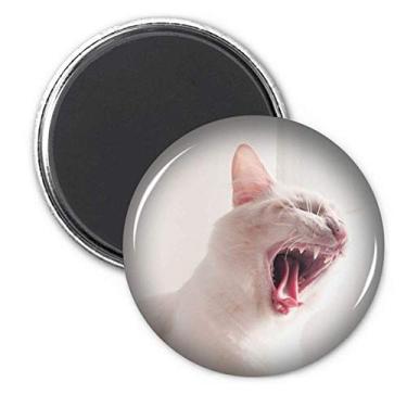 Imagem de Animal Branco Fierce Gato Fotografia Imã Geladeira Adesivo Decoração Emblema Presente