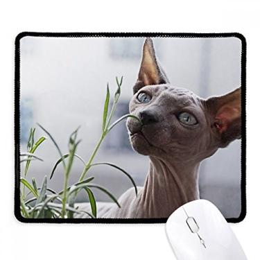 Imagem de Mousepad para fotografia de gato fino cinza com borda costurada, tapete de borracha para jogos