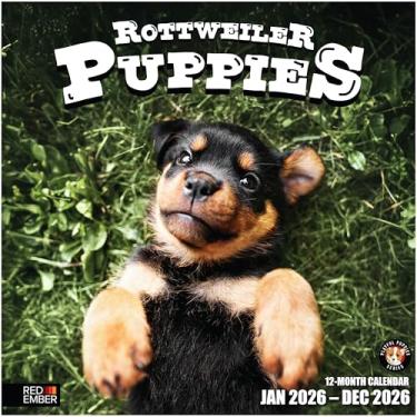 Imagem de RED EMBER Rottweiler Puppies 2026 Calendário de parede 12 meses | 30,5 cm x 61 cm aberto | Papel grosso e resistente | Presente | Calendário 2026