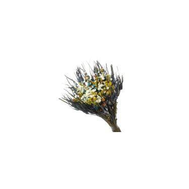 Imagem de Buque De Flor Seca Estrelinha - Variações - Pense Flores, Azul