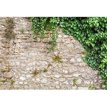 Imagem de Yeele 3 x 2,4 m Parede de tijolo Folhas Verdes Pano de Fundo Rústico Plantas de Jardim Parede Pedra Verde Verde Parede Verde Verde Verde Paisagem Fotografia Fundo Aniversário Casamento Criança Retrato Bolo Smash Photo Studio Adereços