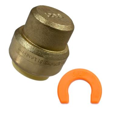 Imagem de 2 peças de plugue XFITTING Push Fit 3/4 polegadas com 1 clipe, 27-2-5 = 2W.1C