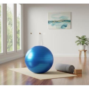 Imagem de Bola Para Exercicios Pilates Yoga Fisioterapia Abdominal 50cm Azul Rosa Cinza até 150kg Profissional (Azul)