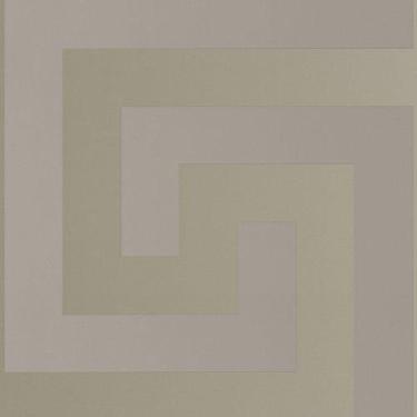 Imagem de Papel De Parede Versace V Geométrico Cinza 386092