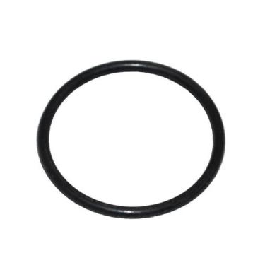 Imagem de Anel Vedação Extensão Jacto J7000